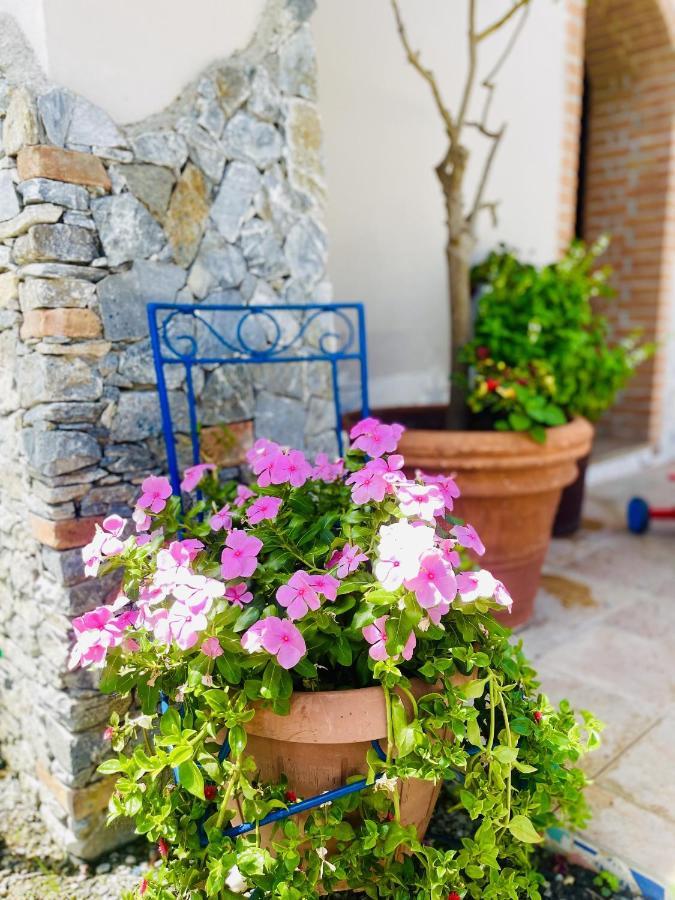 Borgo Camicia In Bed & Breakfast Barcellona-Pozzo di Gotto Exterior photo