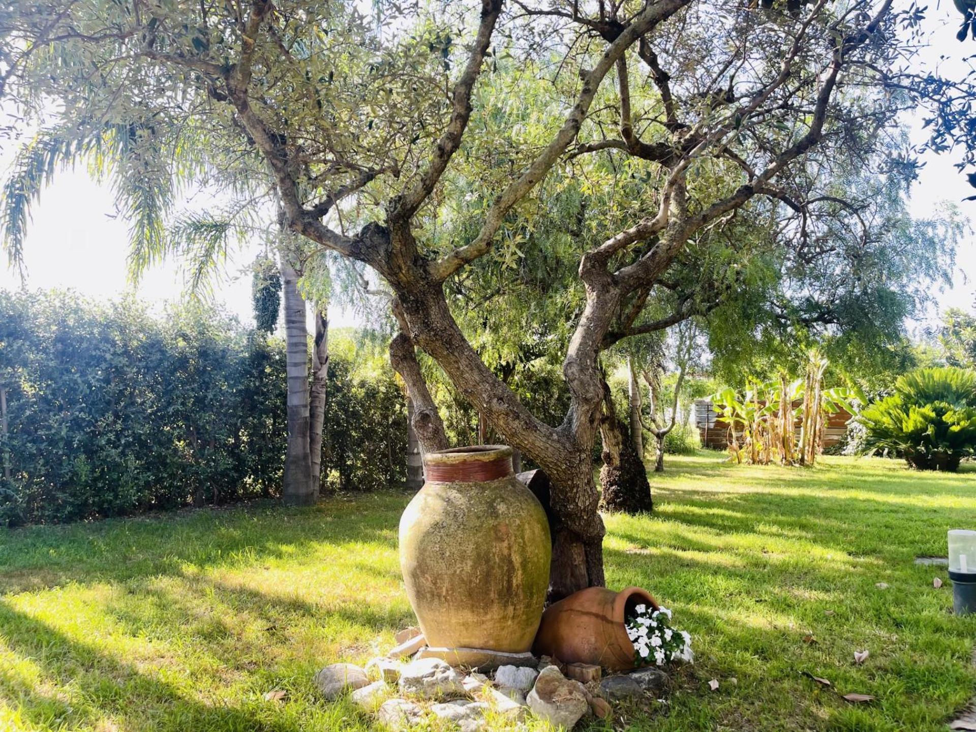 Borgo Camicia In Bed & Breakfast Barcellona-Pozzo di Gotto Exterior photo